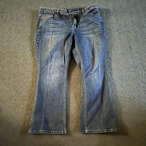 LANE BRYANT Curvy Jeans Bootcut 18 Short